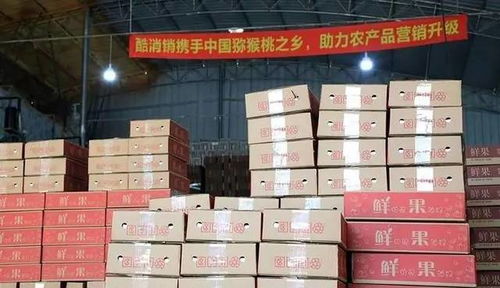 酷消销再获信任，金融中介服务将助力天水花牛苹果营销新篇章