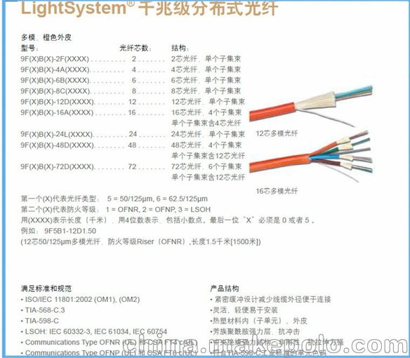 金融中介服务的关键角色与价值